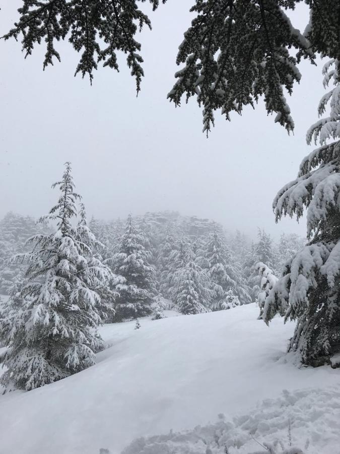 Chalet Centretoni Arida