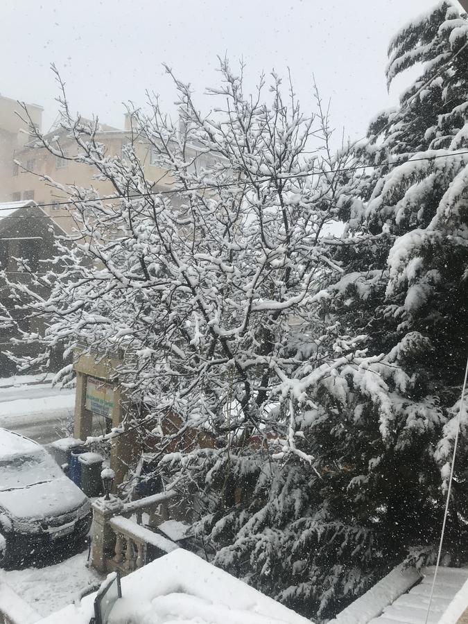 Chalet Centretoni Arida Al Arz